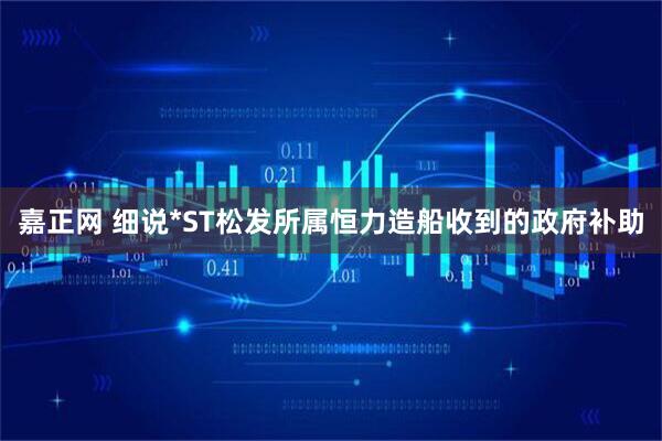嘉正网 细说*ST松发所属恒力造船收到的政府补助