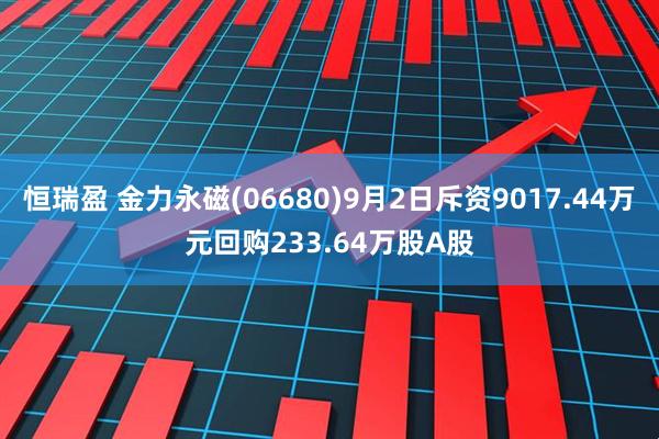 恒瑞盈 金力永磁(06680)9月2日斥资9017.44万元回购233.64万股A股