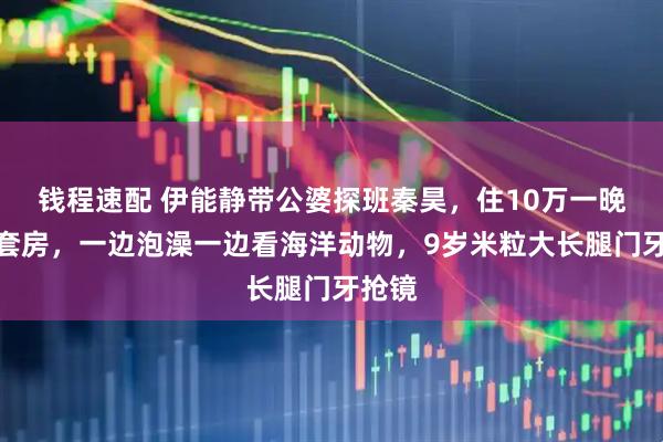 钱程速配 伊能静带公婆探班秦昊，住10万一晚海景套房，一边泡澡一边看海洋动物，9岁米粒大长腿门牙抢镜