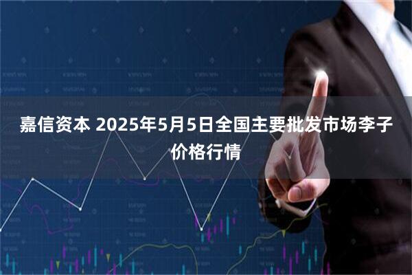 嘉信资本 2025年5月5日全国主要批发市场李子价格行情